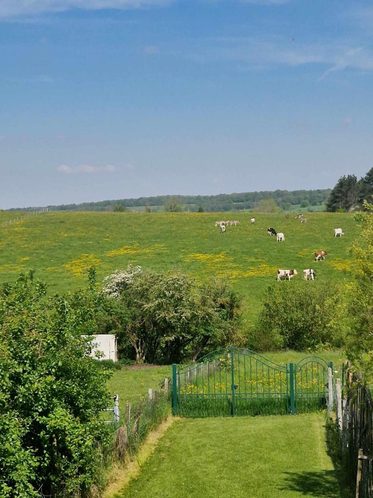 Gites Paille-Foin Cerfontaine Exterior foto